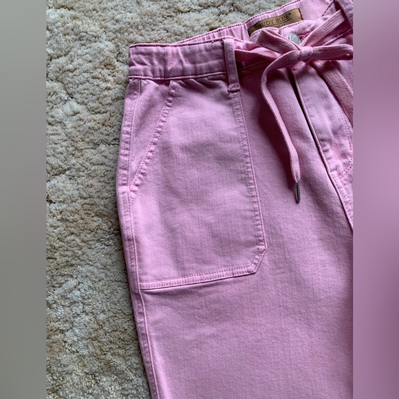 EUC JUDY BLUE LOS ANGELES PINK GARMENT DYED HI-RISE JOGGER JEANS IN SIZE 9/29 - Picture 9 of 15